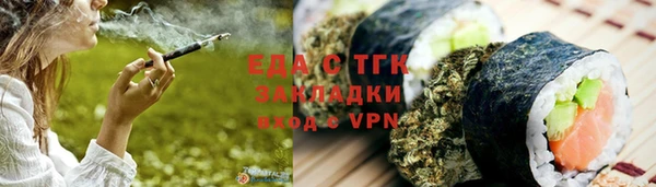 гашик Горняк
