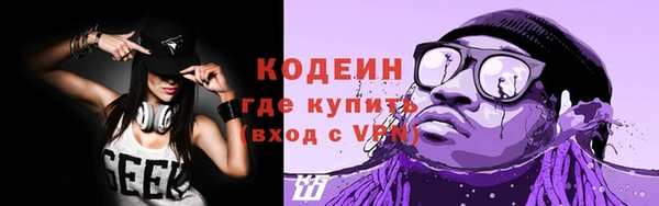 гашик Горняк
