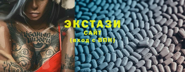 гашик Горняк